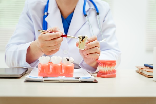 What Is An Endodontist?